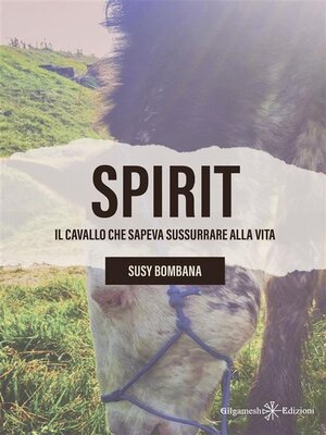 cover image of Spirit